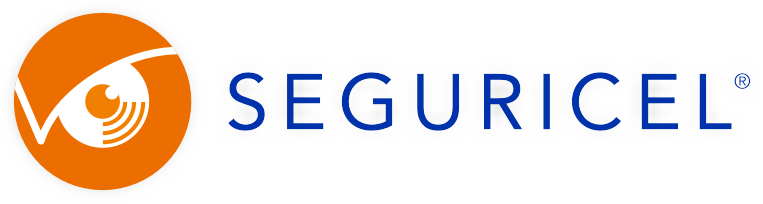 Seguricel.com