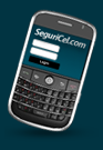 Accesa a Seguricel desde tu Blackberry en http://m.Seguricel.com