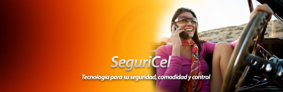 Seguricel. Servicios de control de acceso en tu celular con administración web para tu entera comodidad